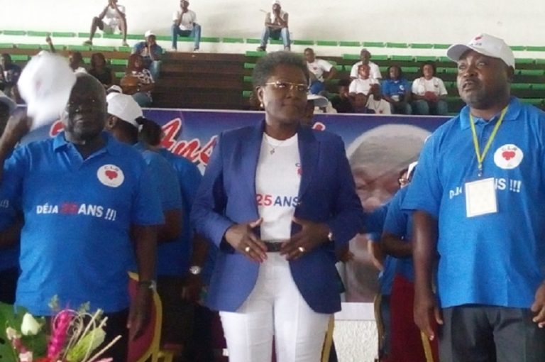 Politique-Gabon/CLR: Assele nettoye son écurie