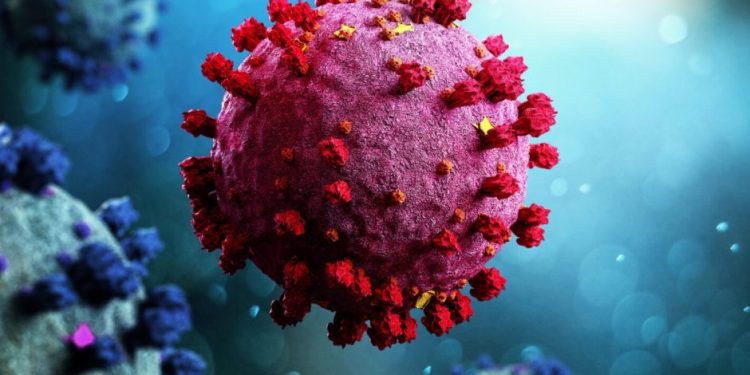 Santé/Covid-19 : Une légère baisse des contaminations