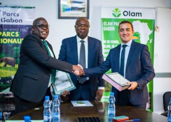 Gabon/ Environnement : L’ANPN et l’OPG pour la cause des éléphants
