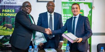 Gabon/ Environnement : L’ANPN et l’OPG pour la cause des éléphants
