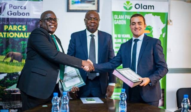 Gabon/ Environnement : L’ANPN et l’OPG pour la cause des éléphants