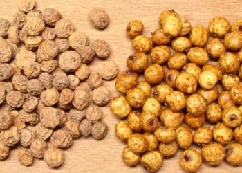 Santé :  souchet,  Une mine de bienfaits pour la santé, 05 raisons de faire de lui son allié alimentaire