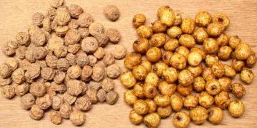 Santé :  souchet,  Une mine de bienfaits pour la santé, 05 raisons de faire de lui son allié alimentaire