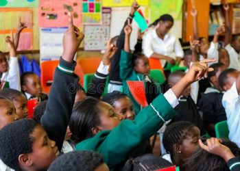Actualités : Classement 2022 des pays africains par indice de développement humain (PNUD)