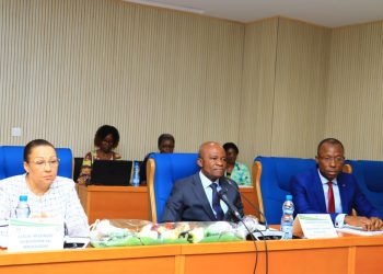 Coopération- Gabon/ le FMI à l’Assemblée Nationale : Les nouvelles rassurantes