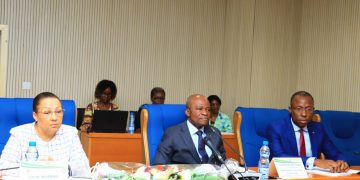 Coopération- Gabon/ le FMI à l’Assemblée Nationale : Les nouvelles rassurantes