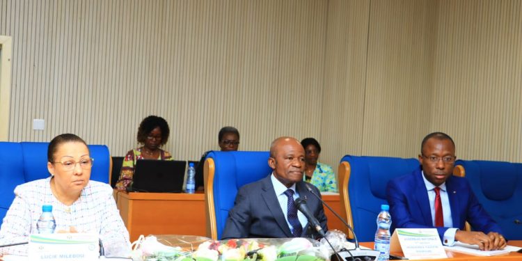 Coopération- Gabon/ le FMI à l’Assemblée Nationale : Les nouvelles rassurantes