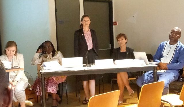 Aide publique au développement : L’AFD et ses projets au Gabon