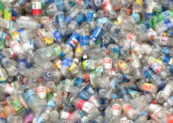 Politique-Gabon/Activités parlementaires : Les députés  Examinent  le projet de loi sur la Lutte contre la pollution.