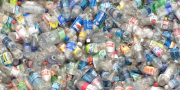 Politique-Gabon/Activités parlementaires : Les députés Examinent le projet de loi sur la Lutte contre la pollution.