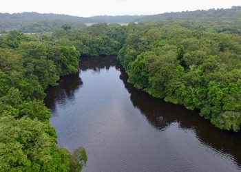Économie-Gabon/Diplomatie parlementaire : Libreville capitale de la gestion des écosystèmes forestiers et de sécurité alimentaire et nutritionnelle.