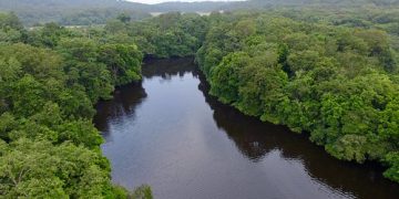 Économie-Gabon/Diplomatie parlementaire : Libreville capitale de la gestion des écosystèmes forestiers et de sécurité alimentaire et nutritionnelle.