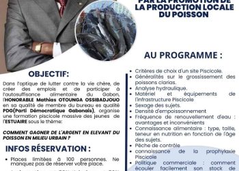 Société-Économie-Gabon/Mathias Otounga Ossibadjouo offre une formation de piscicole gratuite.