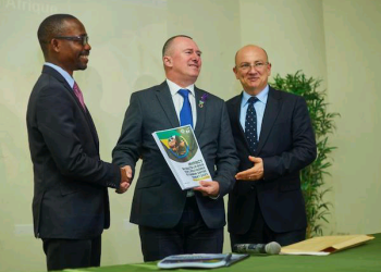 Économie-Gabon/Eaux et Forêts : Présentation de l’étude sur la contribution de la filière bois à l’économie nationale.