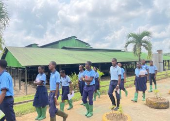 Vie des entreprises /Olam : Acteur engagé dans l&rsquo;éducation et le Développement durable.