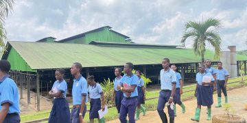Vie des entreprises /Olam : Acteur engagé dans l’éducation et le Développement durable.