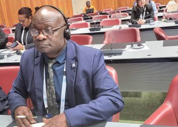 Politique-148ème Assemblée générale de L&rsquo;UIP/ l&rsquo;atelier sur la gestion de l&rsquo;intelligence artificielle (IA) : L&rsquo;Honorable Mally Hondjoua plaide pour une réglementation appropriée.