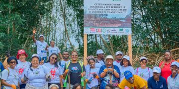 Vie des Entreprises/Préservation de l’environnement : Sobraga et ses partenaires renforcent leur engagement écologique à travers le reboisement de la mangrove de Mindoubé à Libreville.
