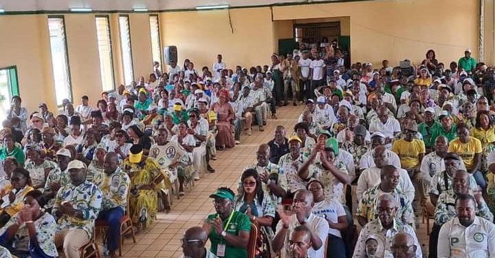 Politique-Gabon/ Woleu-Ntem : Rentrée politique du Parti Démocratie Gabonais, l’ambiance des grands jours.
