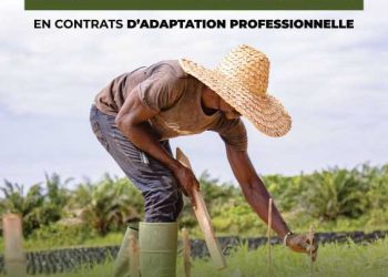 Société-Gabon/Olam palm Gabon et le PNPE : Recrutement de 315 stagiaires.