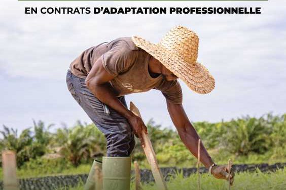 Société-Gabon/Olam palm Gabon et le PNPE : Recrutement de 315 stagiaires.